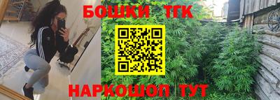 МДПВ Партизанск