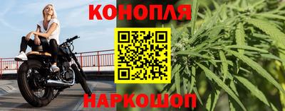 Альфа ПВП Пенза