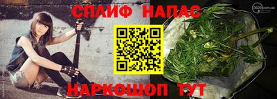 МДПВ Партизанск