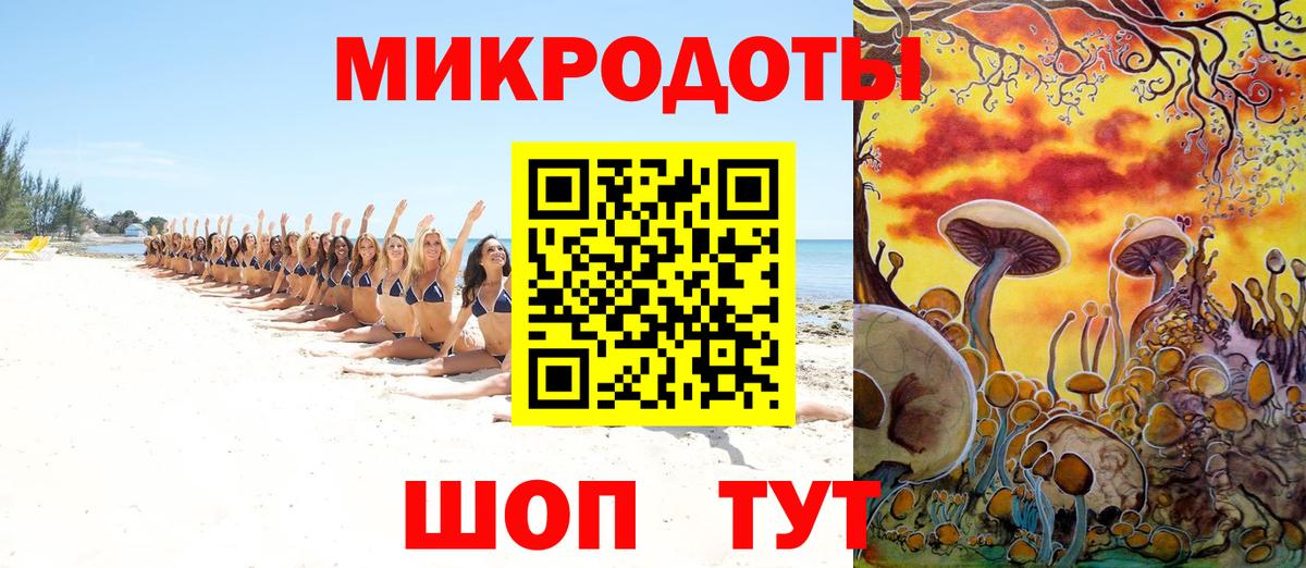 Галлюциногенные грибы Psilocybine cubensis  Вход с VPN  Ступино 
